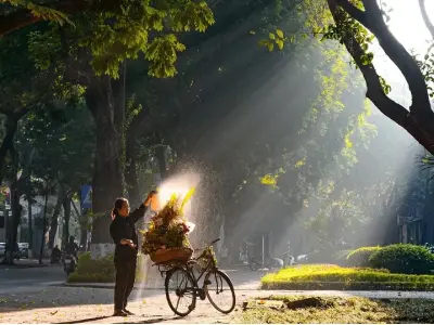 Vẻ đẹp thanh lịch của phố Phan Đình Phùng giữa lòng thủ đô