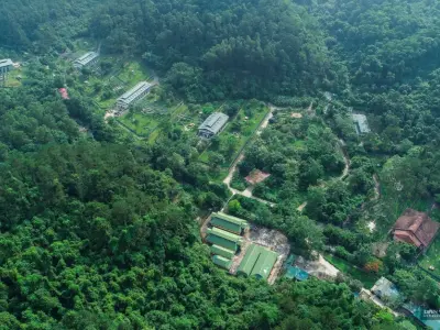 Trải nghiệm trekking thú vị ở vườn Quốc gia Tam Đảo