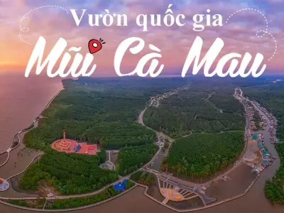 Vườn quốc gia Mũi Cà Mau đất mũi thiêng liêng cực Nam