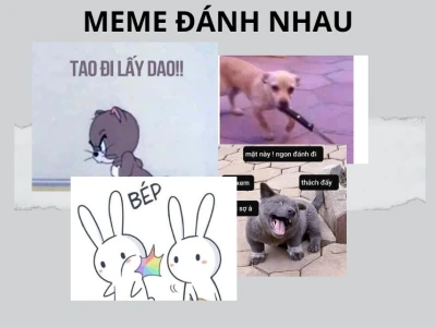 300+ Meme Đánh Người: Khi Sự Bực Bội Biến Thành Tiếng Cười Sảng Khoái