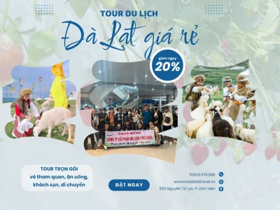 Khám phá 20+ Địa điểm Du lịch Đà Lạt Hấp Dẫn Nhất Hiện Nay