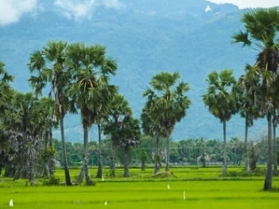 Khám phá An Giang 6 địa điểm du lịch không thể bỏ lỡ