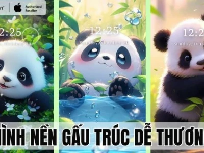 Khám phá bộ sưu tập hình nền gấu chibi cute và những điều thú vị