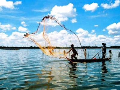 Khám phá Cà Mau: Top 15 địa điểm du lịch không thể bỏ lỡ