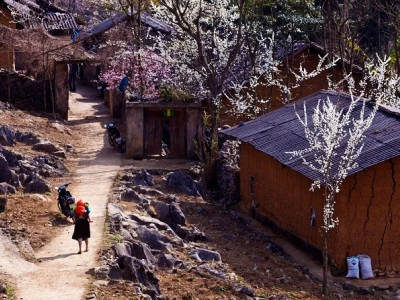 Khám phá Hà Giang 2026: Top những điểm du lịch đẹp quên lối về