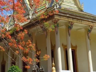 Khám phá Trà Vinh: Top địa điểm du lịch hấp dẫn và độc đáo nhất