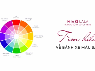 Khám phá vòng tròn màu sắc: Bí quyết phối đồ thời trang ấn tượng