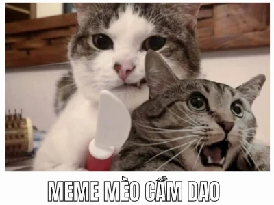 Khám phámeme cầm dao: Biểu cảm hài hước và những tình huống bất ngờ