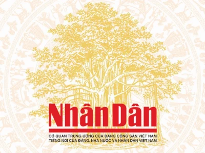 Khu Di Tích Khảo Cổ Cù Lao Rùa Di Sản 3000 Năm Tuổi
