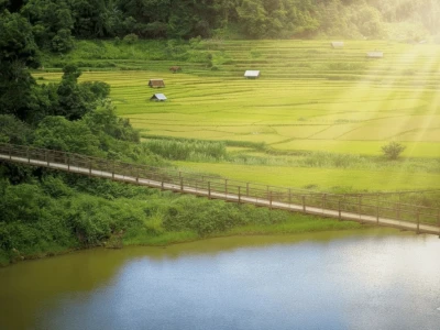 Măng Đen: Khám Phá Thiên Đường Du Lịch Với 8 Địa Điểm Không Thể Bỏ Lỡ