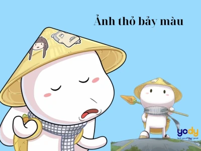 Meme Thỏ Bảy Màu: Bộ sưu tập hài hước bất tận 2026