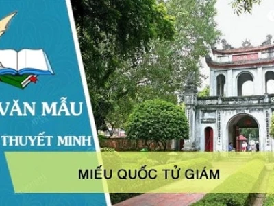 Thuyết minh về một di tích lịch sử: Vẻ đẹp và giá trị trường tồn