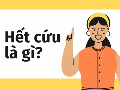 Tổng hợp 1544+ Meme Hết Cứu: Biểu Cảm Khó Đỡ Khiến Bạn Cười Không Ngớt