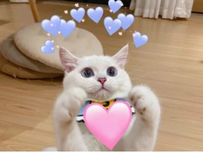 Tổng hợp 999+ meme tình yêu dễ thương, cute nhất 2026