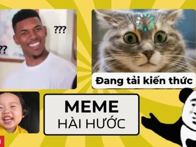 Tổng hợp Avatar Meme Mèo Bựa Hài Hước Độc Lạ Nhất Năm 2026