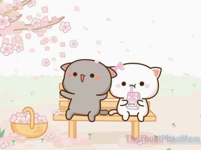 Tuyển tập avatar đôi cute mèo cực đáng yêu cho các cặp đôi